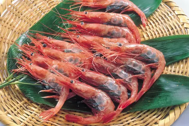 金沢港の甘えび