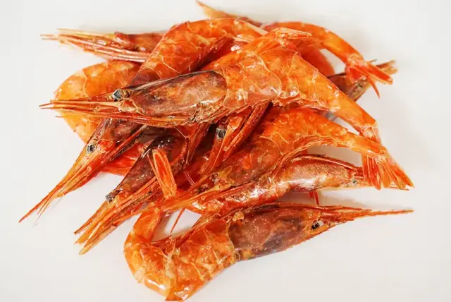 金沢港の甘えび