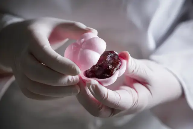 福梅の製造の様子