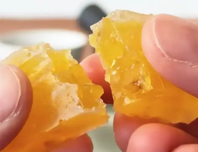 能登栗