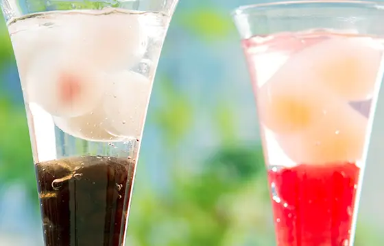 フルーツ＆加賀最中種